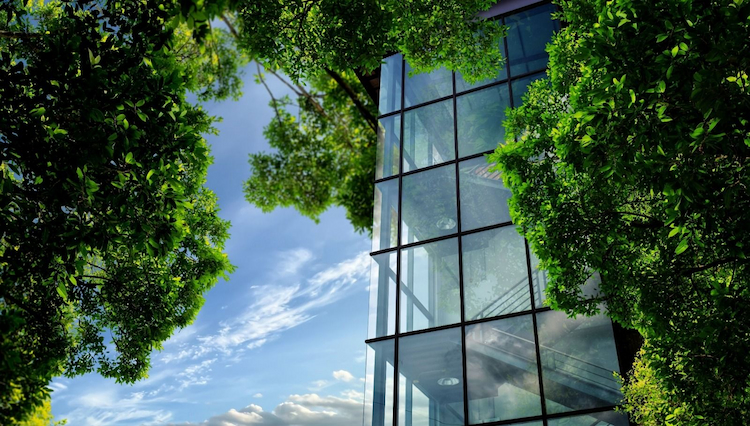 The Smart Workspace Revolution: What Today's Businesses Really Want